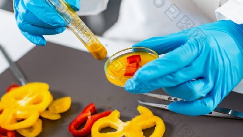 新手做餐饮加盟代理条件